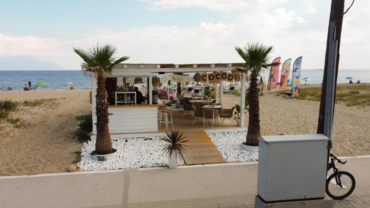 Cocoon Hotel-Beach Bar Sarti Exterior photo